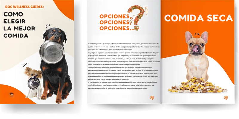 Cómo elegir el mejor alimento para tu perro