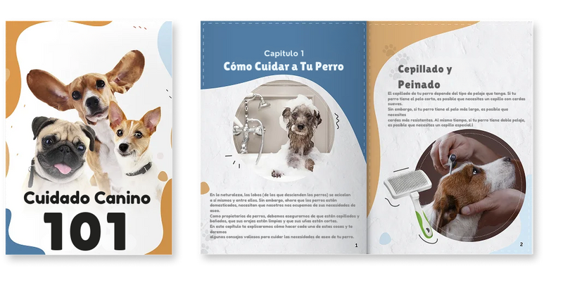 101 Cuidados canino